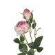 Artificial Garden PINK DAMASK CLIMBING ROSE BRANCH 21199 Τεχνητό Διακοσμητικό Κλαδί Τριαντάφυλλο Σαμπανιζέ Y55cm - 3