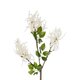 Artificial Garden WHITE AMARANTHUS FRUIT BRANCH 21447 Τεχνητό Διακοσμητικό Κλαδί Λευκός Αμάρανθος Y95cm - 3