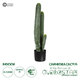 Artificial Garden CARNEGIEA CACTUS 20121 Τεχνητό Διακοσμητικό Φυτό Κάκτος Σαγκουάρο Υ80cm