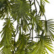 Artificial Garden HANGING FERN 20614 Τεχνητό Διακοσμητικό Κρεμαστό Φυτό Φτέρη Μ30 x Π10 x Υ90cm - 4