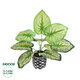 Artificial Garden CALADIUM 20889 Τεχνητό Διακοσμητικό Φυτό Τροπικό Φυτό Φ40 x Υ33cm - 1