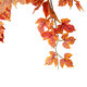 Artificial Garden MAPLE HANGING BRANCH 20243 Τεχνητό Διακοσμητικό Κρεμαστό Φυτό Σφένδαμος Υ80cm