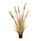 Artificial Garden PAMPAS GRASS 21476 Τεχνητό Διακοσμητικό Φυτό Μπεζ Πάμπας Μ90 x Π40 x Υ150cm - 2