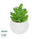 Artificial Garden SUCCULENT CRASSULA POTTED PLANT 20986 Διακοσμητικό Φυτό Κρασούλα Φ6 x Υ10cm