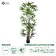 Artificial Garden BROADLEAF LADY PALM TREE 20384 Τεχνητό Διακοσμητικό Φυτό Πλατύφυλλος Φοίνικας Μπαμπού Υ300cm
