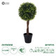 Artificial Garden MYRTUS 20398 Τεχνητό Διακοσμητικό Φυτό Φίκος Μυρτιά Υ60cm