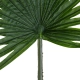 Artificial Garden SERENOA PALM LEAF 20174 Τεχνητό Διακοσμητικό Φύλο Φοινικόδεντρου Σερενόα Βεντάλια Π90 x Υ170cm - 3