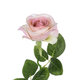 Artificial Garden LIGHT PINK ROSE  BRANCH 21137 Τεχνητό Διακοσμητικό Κλαδί Ανοιχτό ΡοζΤριαντάφυλλο Y50cm - 3