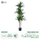 Artificial Garden DRACAENA SILK 20044 Τεχνητό Διακοσμητικό Φυτό Δράκαινα Υ170cm