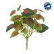 SWEDISH IVY 78270 Τεχνητό Φυτό Σουηδικός Κισσός - Μπουκέτο Διακοσμητικών Φυτών - Κλαδιών με Φύλλωμα Πράσινο - Κόκκινο Υ28cm - 1