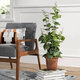 Artificial Garden VITIS GRAPE TREE 20379 Τεχνητό Διακοσμητικό Φυτό Άμπελος Υ90cm - 8