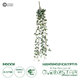 Artificial Garden EUCALYPTUS HANGING BRANCH 20235 Τεχνητό Διακοσμητικό Κρεμαστό Φυτό Ευκάλυπτος Υ75cm - 1