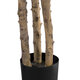 Artificial Garden FORTUNE GUIANA TREE 20056 Τεχνητό Διακοσμητικό Φυτό Καστανιά του Μαλαμπάρ Υ160cm - 4