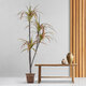 Artificial Garden DRAGON BLOOD TREE 20372 Τεχνητό Διακοσμητικό Φυτό Δράκαινα Υ180cm - 9