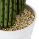 Artificial Garden CARNEGIEA CACTUS 20100 Τεχνητό Διακοσμητικό Φυτό Κάκτος Σαγκουάρο Υ63cm - 5