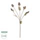 Artificial Garden POPPY FRUIT BRANCH 21432 Τεχνητό Διακοσμητικό Κλαδί Παπαρούνα Y62cm