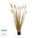 Artificial Garden TYPHA GRASS 21483 Τεχνητό Διακοσμητικό Φυτό Γρασίδι της Τύφας Μ70 x Π40 x Υ150cm
