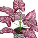 Artificial Garden RED POLKA 20887 Τεχνητό Διακοσμητικό Φυτό Κόκκινη Πόλκα Φ38 x Υ33cm - 3