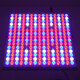 85954 Grow Light Panel Full Spectrum LED Φωτιστικό Ανάπτυξης Φυτών Θερμοκηπίου SMD 2835 100W 160° AC230V IP54 Εσωτερικού Χώρου για Κάλυψη Επιφάνειας 1m x 1m Πλήρους Φάσματος Φωτισμού - 9