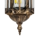  DARCY 00656 Vintage Κρεμαστό Φωτιστικό Οροφής με Ντουί 1 x E27 AC 220-240V IP20 - Μπρούτζινο - Μ15.5 x Π15.5 x Υ32.5cm - 6
