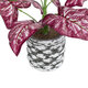 Artificial Garden RED POLKA 20887 Τεχνητό Διακοσμητικό Φυτό Κόκκινη Πόλκα Φ38 x Υ33cm - 4