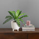Artificial Garden TARO 20082 Τεχνητό Διακοσμητικό Φυτό Κολοκασία Υ30cm - 4