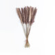Artificial Garden REAL DRIED BROWN PAMPAS GRASS BUNCH 21215 Αποξηραμένο Διακοσμητικό Μπουκέτο Pampas Kάφε Y50cm - Σετ 14 τμχ - 2