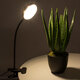 79649 Grow Light Hydro Spectrum LED Φωτιστικό Ανάπτυξης Υδροπονικών Φυτών Γλάστρας με 1 Κινούμενη Κεφαλή & Βάση Clip SMD 2835 5W 160° DC 5V IP20 με Dimmer & Timer Εσωτερικού Χώρου για Κάλυψη Επιφάνειας 0.6m x 0.6m Πλήρους Φάσματος Φωτισμού - 11