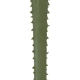 Artificial Garden SERENOA PALM LEAF 20174 Τεχνητό Διακοσμητικό Φύλο Φοινικόδεντρου Σερενόα Βεντάλια Π90 x Υ170cm - 5