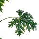 Artificial Garden PAPAYA TREE 20383 Τεχνητό Διακοσμητικό Φυτό  Παπάγια Υ270cm - 5