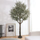 Artificial Garden OLIVE TREE 20425 Τεχνητό Διακοσμητικό Δέντρο Ελιά Υ220cm - 9