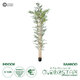 Artificial Garden BAMBOO 20038 Τεχνητό Διακοσμητικό Φυτό Μπαμπού Υ280cm