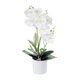 Artificial Garden WHITE ORCHID 21076 Διακοσμητικό Φυτό Λευκή Ορχιδέα Υ45cm - 2