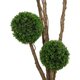 Artificial Garden BUXUS TREE 21111 Τεχνητό Διακοσμητικό Δέντρο Buxus Μ65 x Π60 x Υ200cm - 3