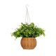 Artificial Garden EUCALYPTUS HANGING PLANT 20640 Τεχνητό Κρεμαστό Διακοσμητικό Φυτό Φτέρης Π45 x Μ45 x Y30cm - 4