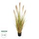 Artificial Garden PAMPAS GRASS 21477 Τεχνητό Διακοσμητικό Φυτό Παμπας Υ120cm