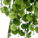 Artificial Garden BEGONIA HANGING BRANCH 20239 Τεχνητό Διακοσμητικό Κρεμαστό Φυτό Βεγονία Υ60cm