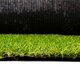 Artificial Garden AUTUMN GRASS 20149 Τεχνητό Συνθετικός Χλοοτάπητας Διακοσμητικό Γρασίδι - Γκαζόν για Ανάπλαση Κήπου - με Πλάτος 2m και Ύψος Πέλους 30mm Μ100 x Π200 x Υ3cm (Πωλείται ανά 2τ.μ.) Εξωτερικού Χώρου IP68 UV Certified Protection - 4