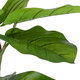 Artificial Garden FICUS RELIGIOSA TREE 20376 Τεχνητό Διακοσμητικό Φυτό Ιερή Συκή Υ50cm - 3