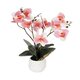 Artificial Garden PINK ORCHID 21075 Διακοσμητικό Φυτό Ροζ Ορχιδέα  Υ30cm - 2