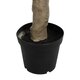 Artificial Garden OLIVE TREE 21112 Τεχνητό Διακοσμητικό Δέντρο Ελιά Υ220cm - 5