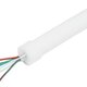 kelvo® AURAFLEX KLV-101-0509 Ψηφιακή Pixel Addressable Ταινία Neon Flex LED 14W/m 840lm/m 360° DC 24V Αδιάβροχο IP65 120 x SMD5054 Chip/m Πολύχρωμο RGB+WW Dimmable SPI/TTL Protocol IC TM1814 - Sanan SMD Chip - Μ1000 x Π2 x Υ2cm - Ρολό 10 Μέτρων - 6 Χρόνια Εγγύηση - 4
