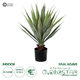 Artificial Garden SISAL AGAVE 20079 Τεχνητό Διακοσμητικό Φυτό Αγαύη Υ60cm