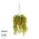 Artificial Garden GOLDEN BELL WILLOW HANGING PLANT 20626 Τεχνητό Κρεμαστό Διακοσμητικό Φυτό Κίτρινη Ιτιά Μ40 x Π40 x Y60cm