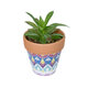 Artificial Garden SUCCULENT ALOE POTTED PLANT 21040 Διακοσμητικό Φυτό Αλόη Φ9 x Υ14cm - 2