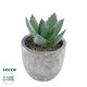 Artificial Garden SUCCULENT ALOE 21026 Διακοσμητικό Φυτό Παχύφυτο Αλόη Υ10.5cm - 1