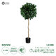 Artificial Garden LAUREL 20084 Τεχνητό Διακοσμητικό Φυτό Δάφνη Υ120cm