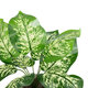 Artificial Garden DIEFFENBACHIA POTTED PLANT 20897 Διακοσμητικό Φυτό Διεφενμπάχια Φ40 x Υ33cm - 3