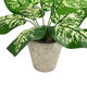 Artificial Garden DIEFFENBACHIA POTTED PLANT 20897 Διακοσμητικό Φυτό Διεφενμπάχια Φ40 x Υ33cm - 4