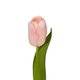 Artificial Garden PINK TULIP BRANCH 21200 Τεχνητό Διακοσμητικό Κλαδί Ροζ Τουλίπα Y37cm - 3